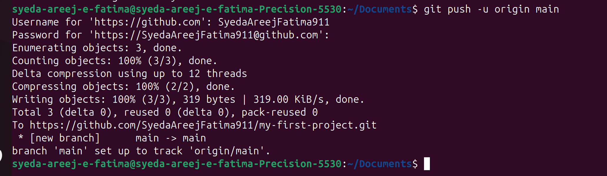 pushing to github repo